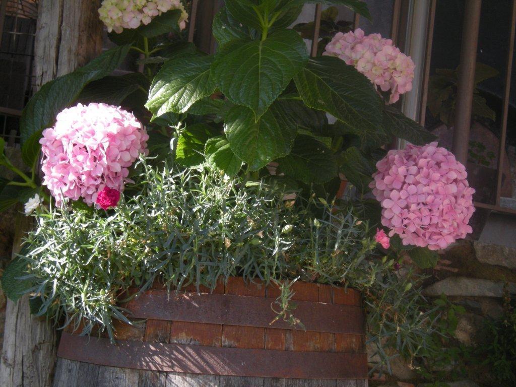 Lasmari'S Bouquet Sykopetra ภายนอก รูปภาพ